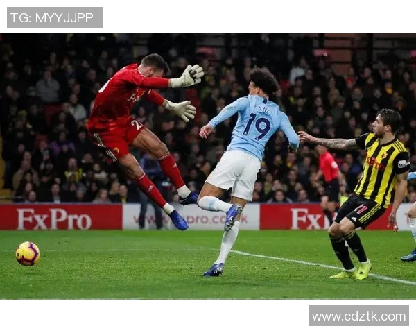 切菲尔德与南安联的激烈对决展现英冠足球的魅力与竞争力